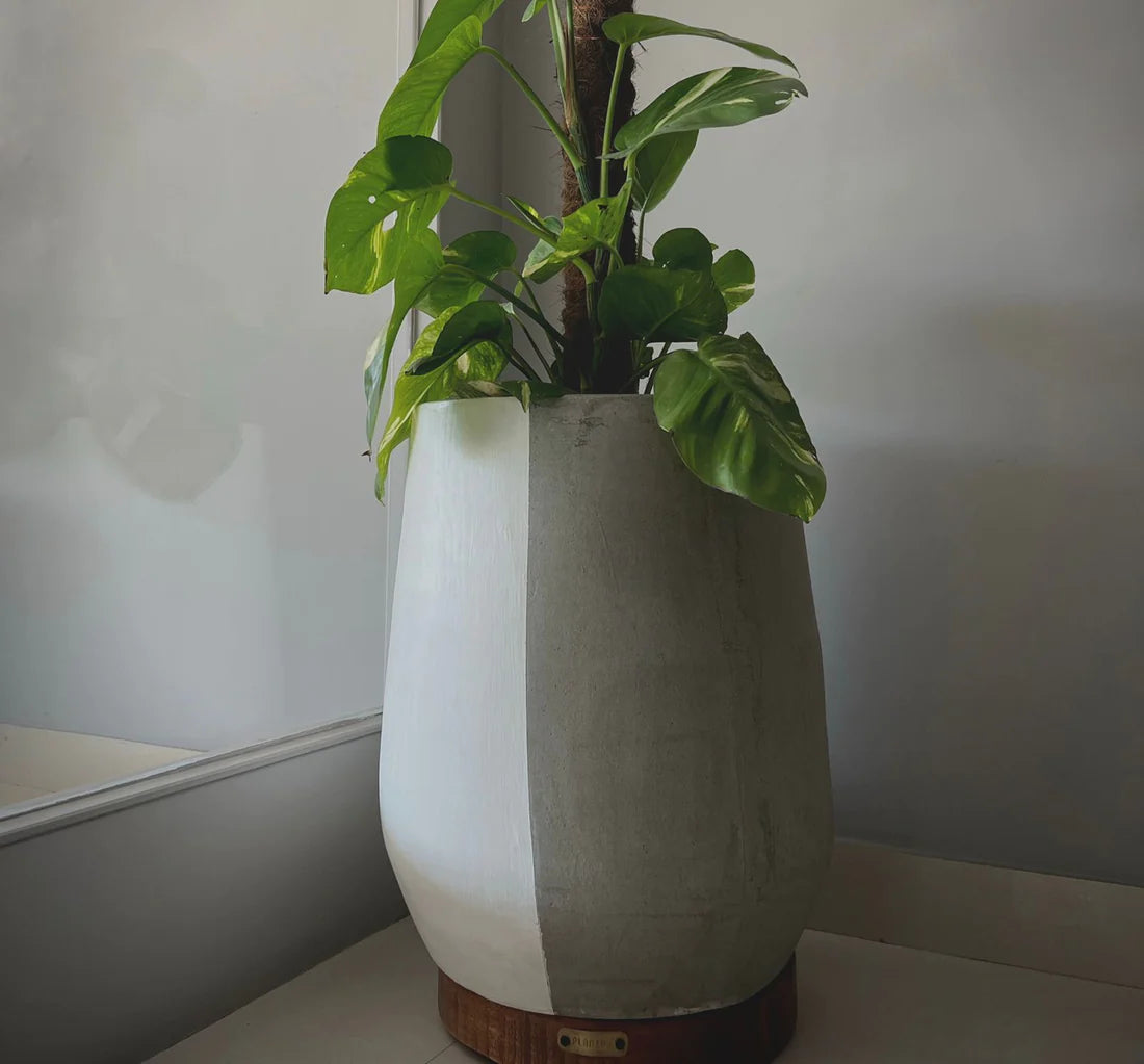 Vertical Grey Egg