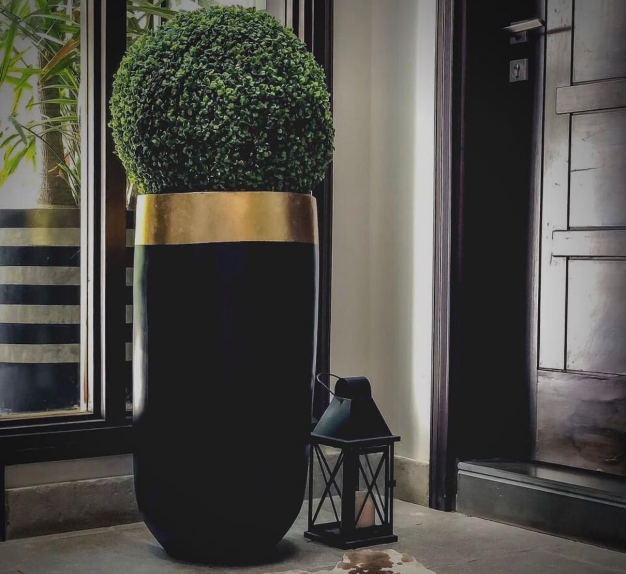 Elon Black/Gold