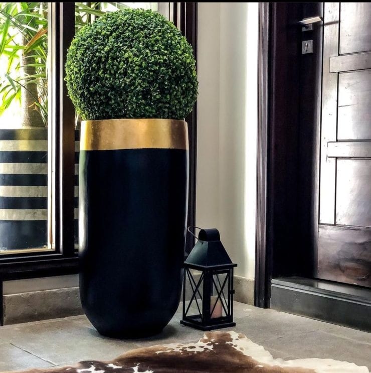 Elon Black/Gold